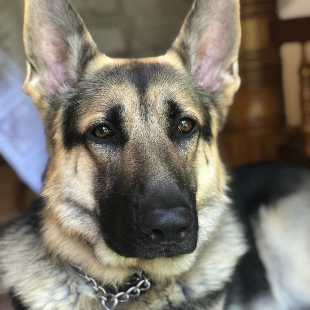 Meet your Posher, Charles